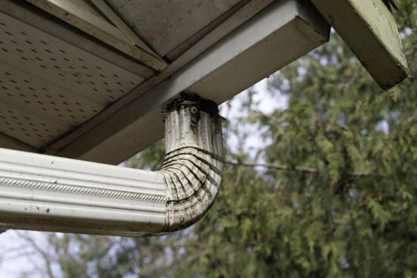 Cost of Roof Drain Replacement in Boulder